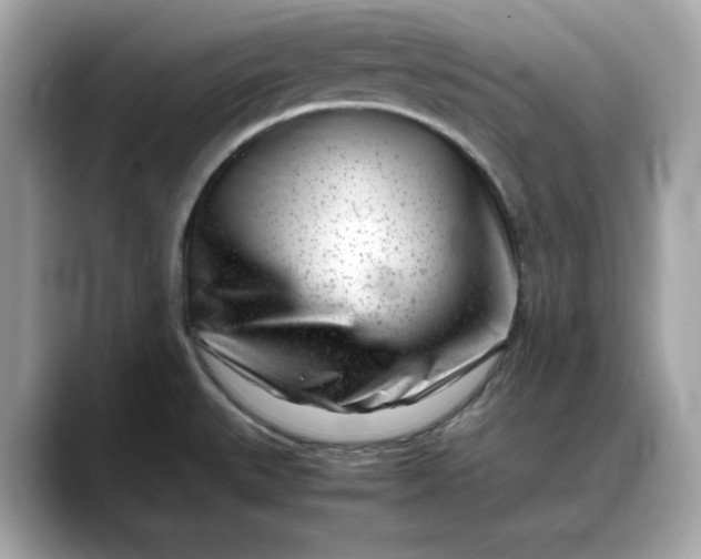 X0000088361527200706051014