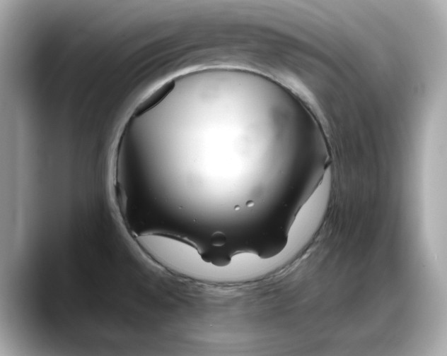 X0000088361528200706051014