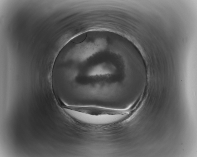 X0000088361529200706051014