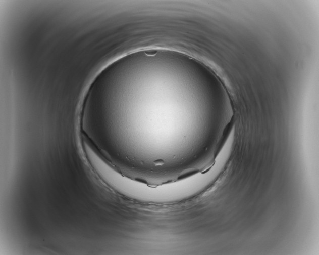 X0000088361530200706051014