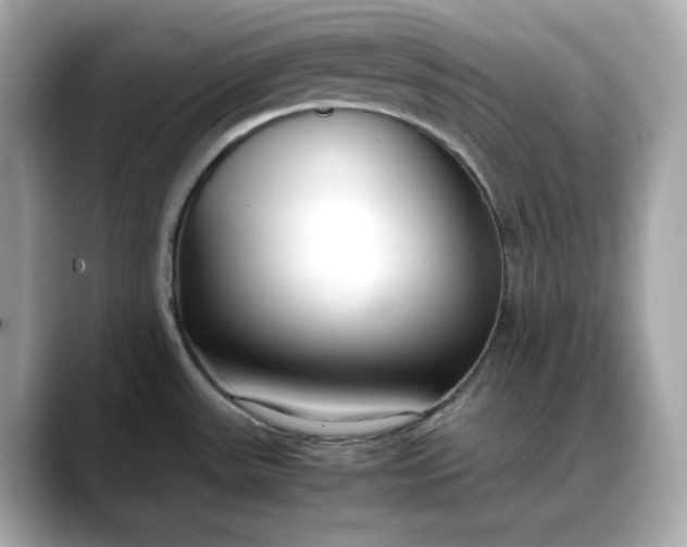 X0000088361531200706051014