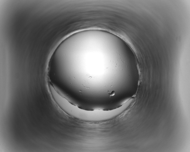 X0000088361532200706051014