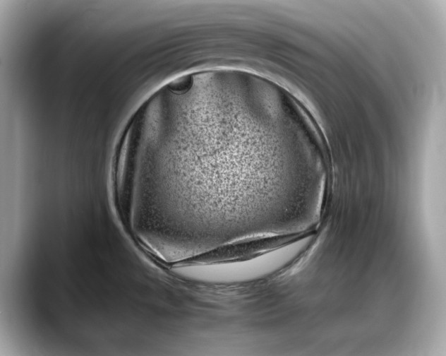 X0000088361533200706051014