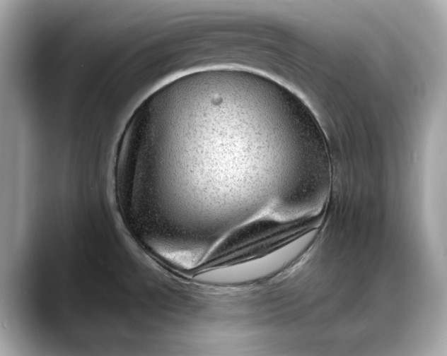 X0000088361534200706051014