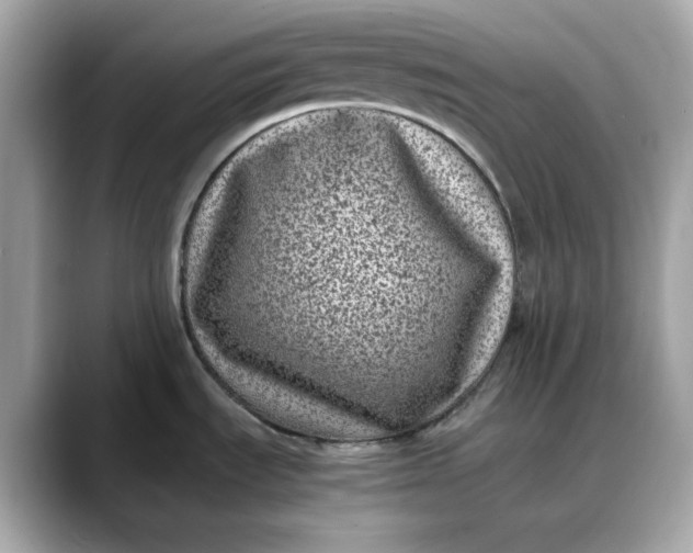 X0000088361535200706051014