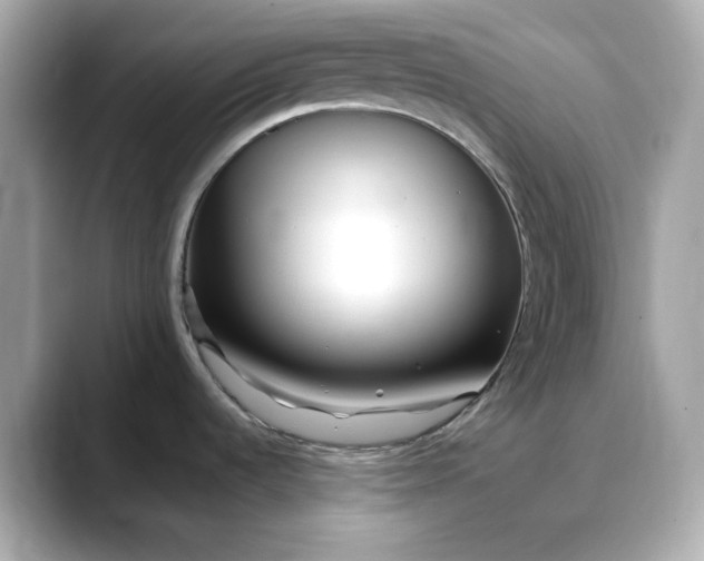 X0000088361536200706051014