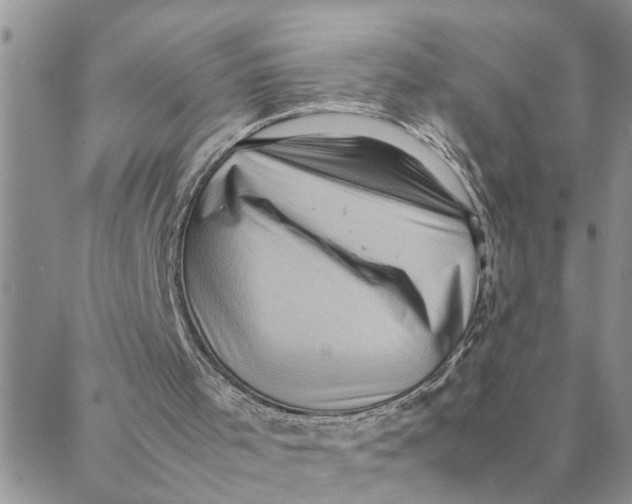 X0000088360001200706121107