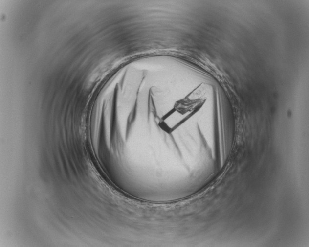 X0000088360002200706121107