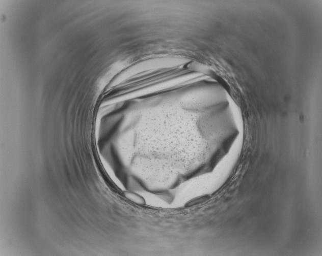 X0000088360003200706121107