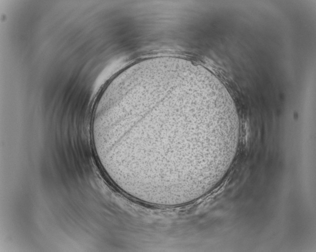 X0000088360004200706121107