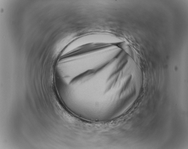 X0000088360005200706121107