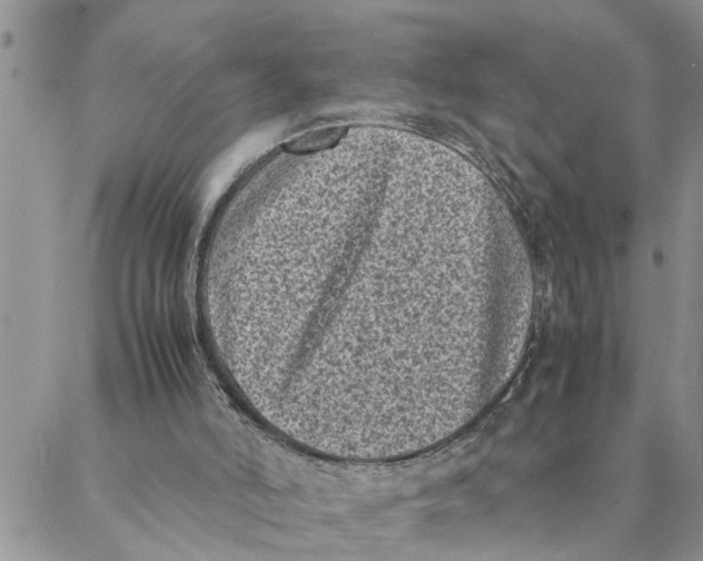 X0000088360006200706121107
