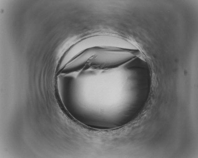X0000088360007200706121106