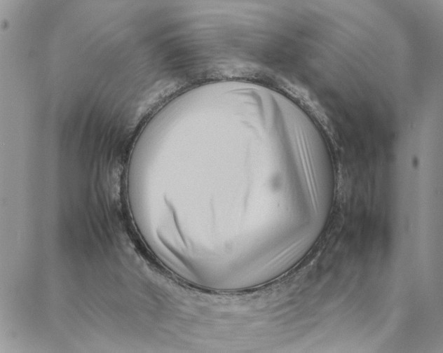 X0000088360010200706121106
