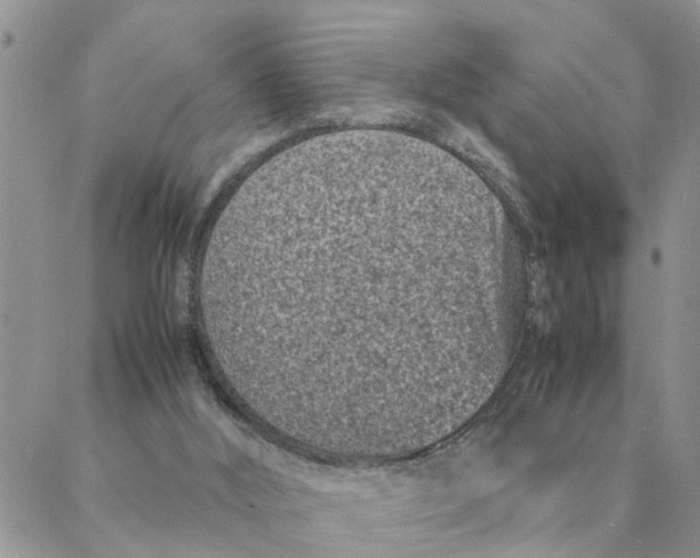 X0000088360012200706121106