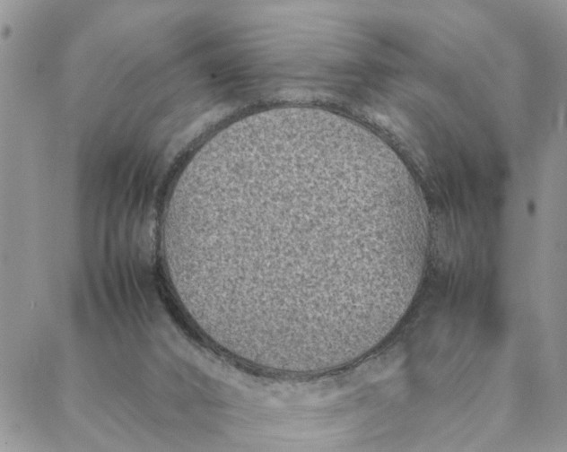 X0000088360016200706121106