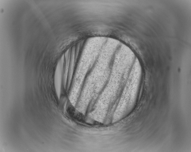 X0000088360017200706121106