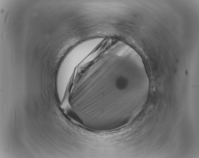 X0000088360019200706121106