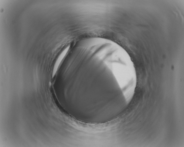 X0000088360027200706121106