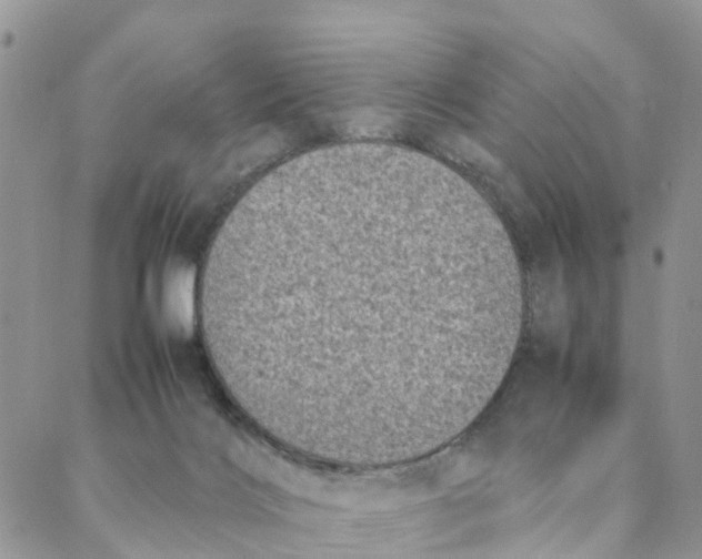 X0000088360028200706121106