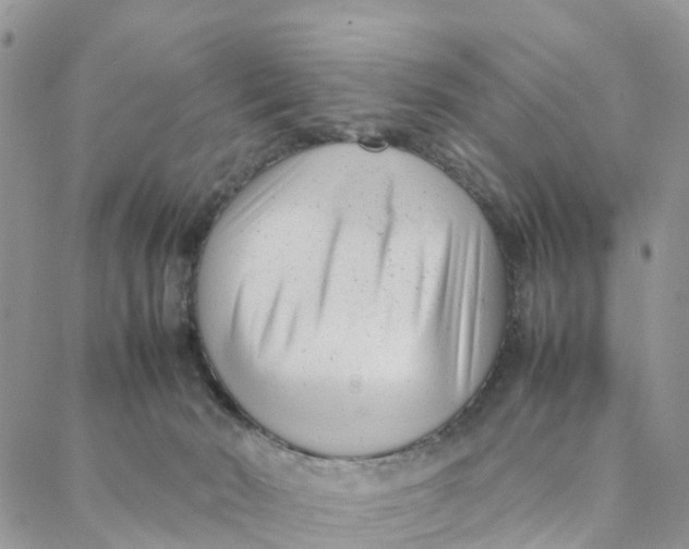 X0000088360030200706121106
