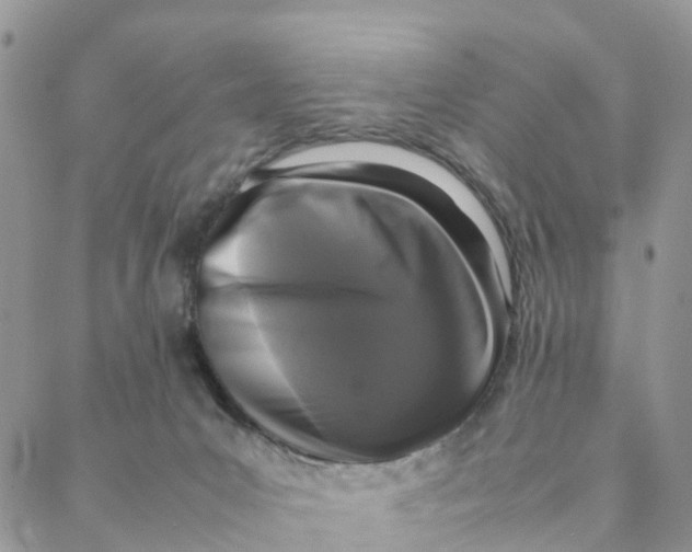 X0000088360031200706121106
