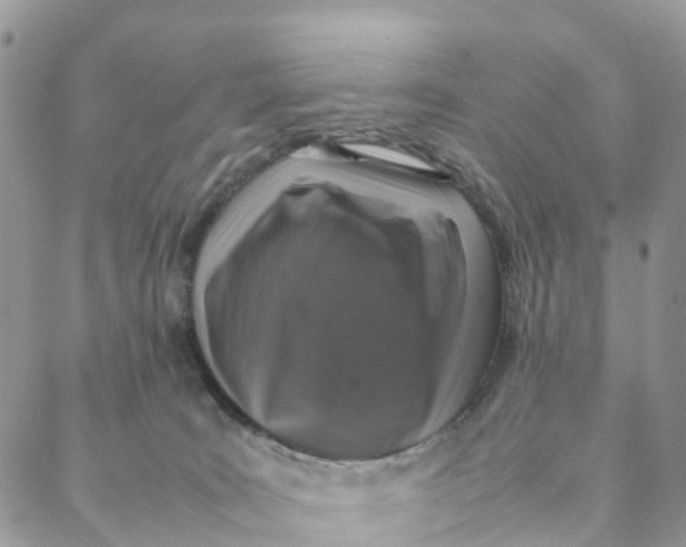 X0000088360035200706121106