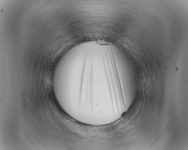 X0000088360040200706121106