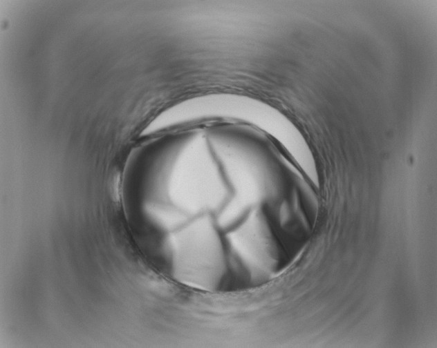 X0000088360041200706121106