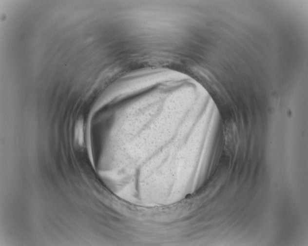 X0000088360046200706121106