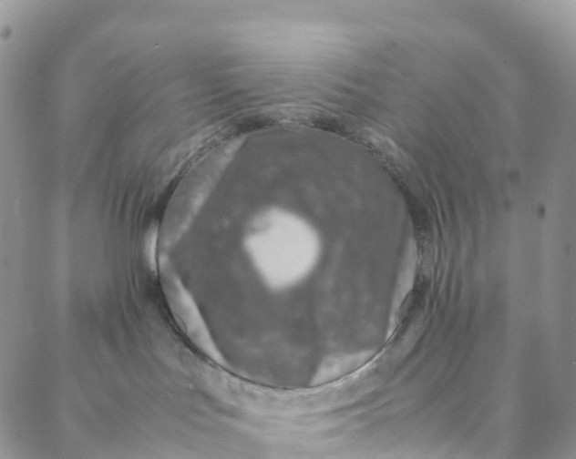 X0000088360047200706121106
