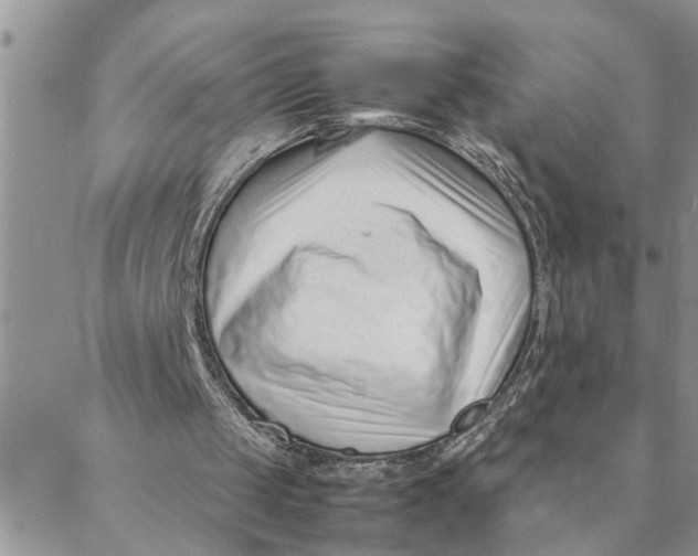 X0000088360049200706121105