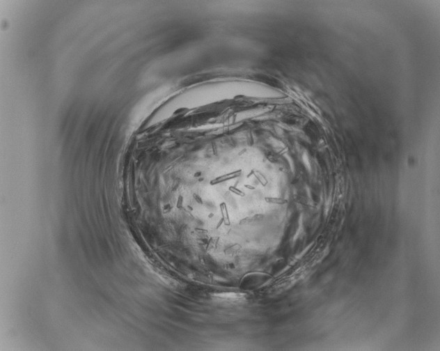 X0000088360053200706121105