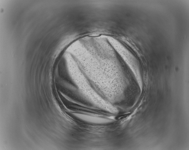 X0000088360055200706121105