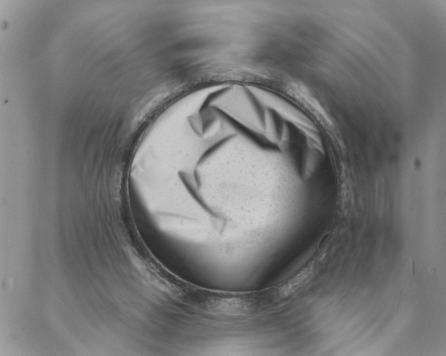 X0000088360058200706121105