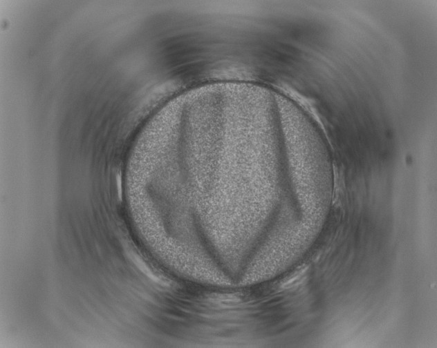 X0000088360061200706121105