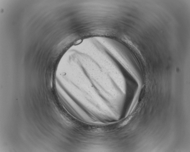 X0000088360062200706121105