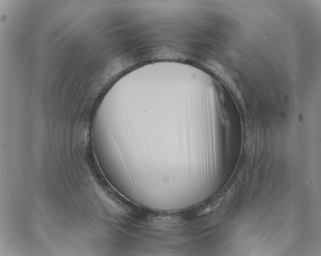 X0000088360063200706121105