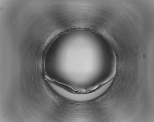 X0000088360064200706121105