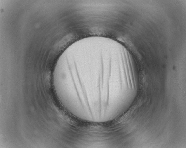 X0000088360066200706121105