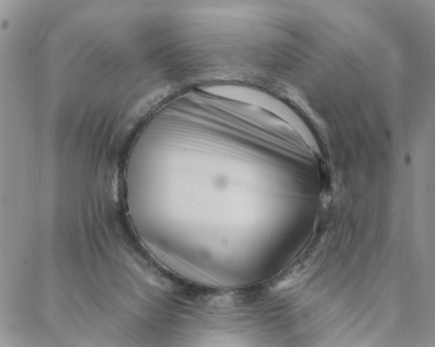 X0000088360068200706121105