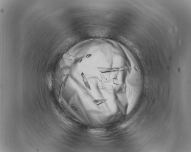 X0000088360069200706121105