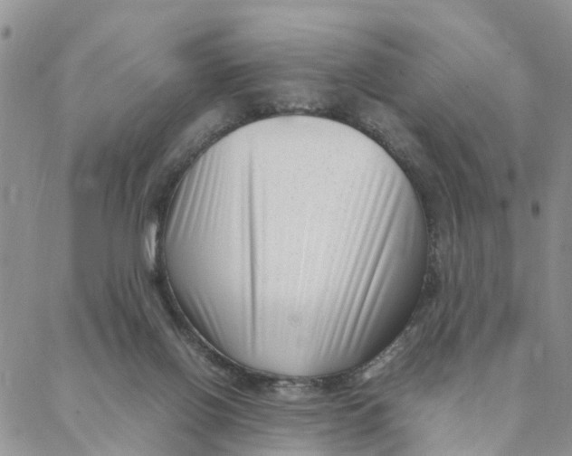 X0000088360070200706121105