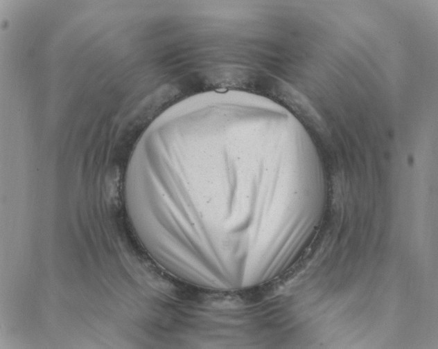 X0000088360073200706121105