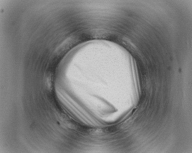 X0000088360074200706121105