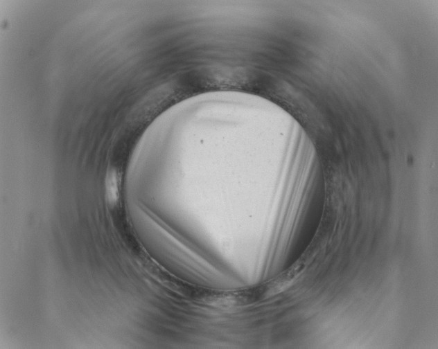 X0000088360075200706121105