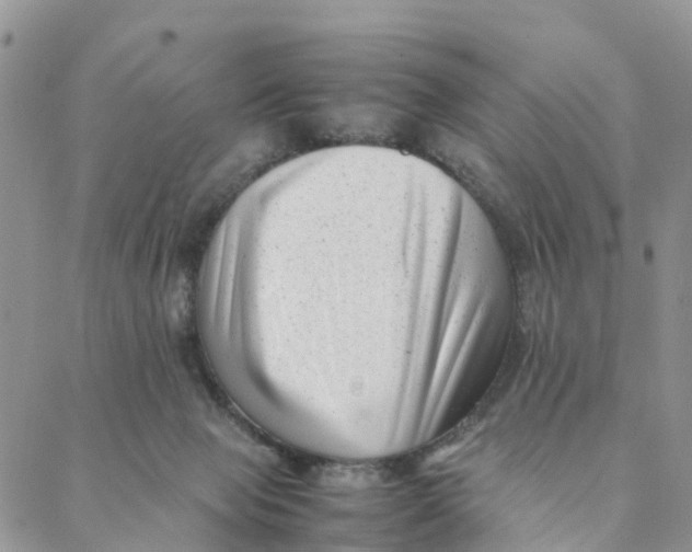 X0000088360077200706121106