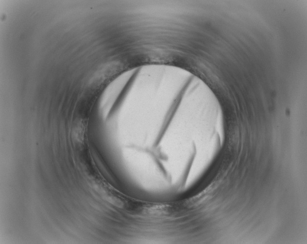 X0000088360078200706121106