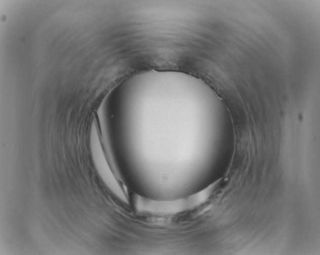 X0000088360084200706121106