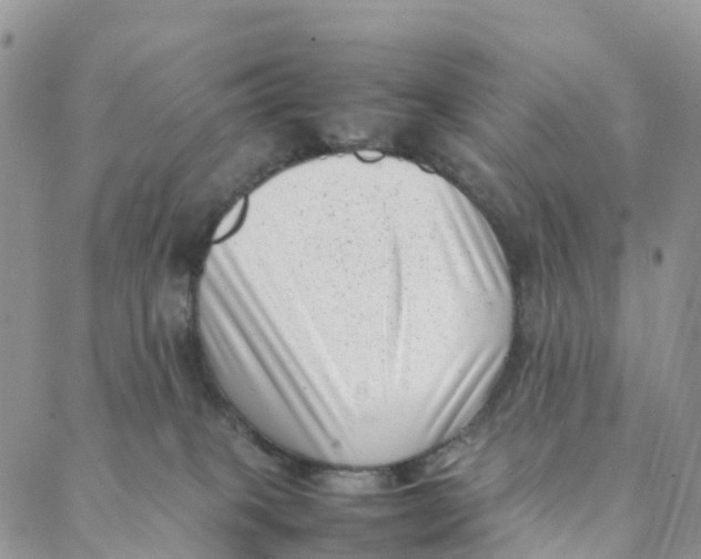 X0000088360085200706121106